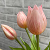 Petite Fresh Touch Artificial Tulip Bundle - 10"