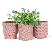  Rosa Textured Garden Pot