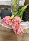 Fresh Touch Ruffled Parrot Tulip Bundle - Pink