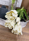 Fresh Touch Ruffled Parrot Tulip Bundle - White
