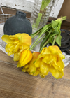 Fresh Touch Ruffled Parrot Tulip Bundle - Yellow