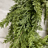 14" Fresh Touch Northern White Cedar Wreath
