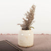 Petite Rustic Cream Vase