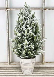  Frosted Topiary Tree - 16"