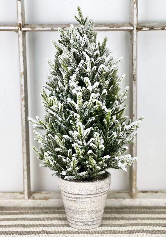 Frosted Topiary Tree - 16"