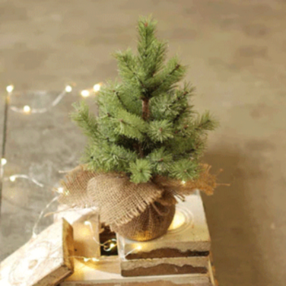 Icy Pine Tabletop Tree with Burlap Covered Base - 12"