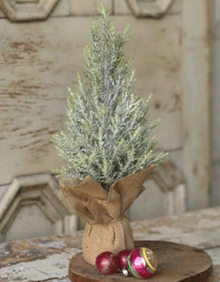  Table Top Pine Tree with Burplap Base