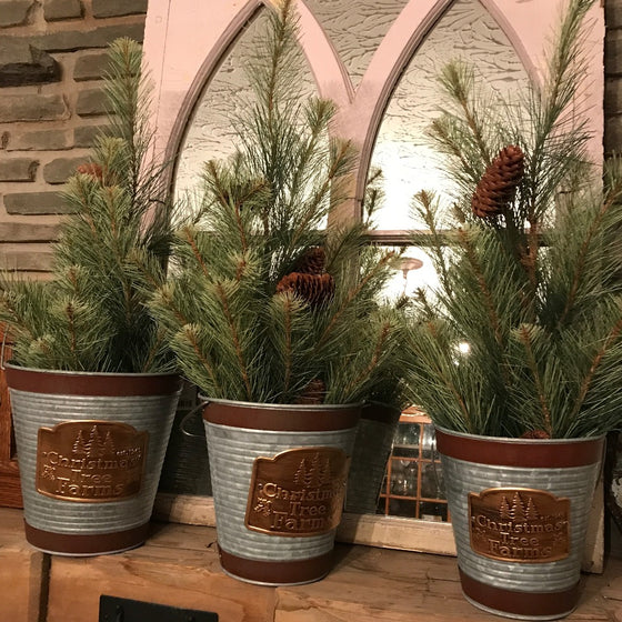 Tree Farm Pails