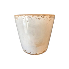  Rustic White Floral Garden Pot