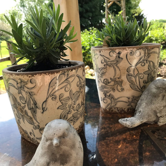 Rustic French Farmhouse Garden Pots - Set of two