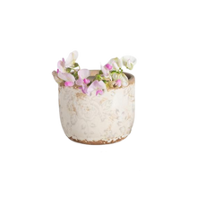  Petite Rustic Cream Flower Pot